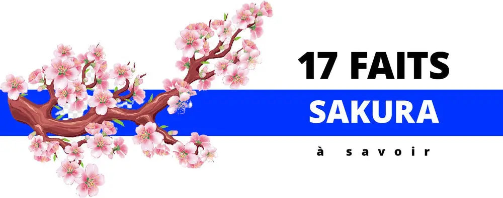 17 FAITS À SAVOIR SUR LES FLEURS DE SAKURA