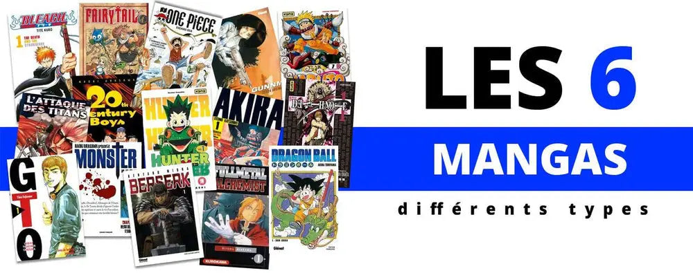 GUIDE MANGA: LES 6 DIFFÉRENTS TYPES