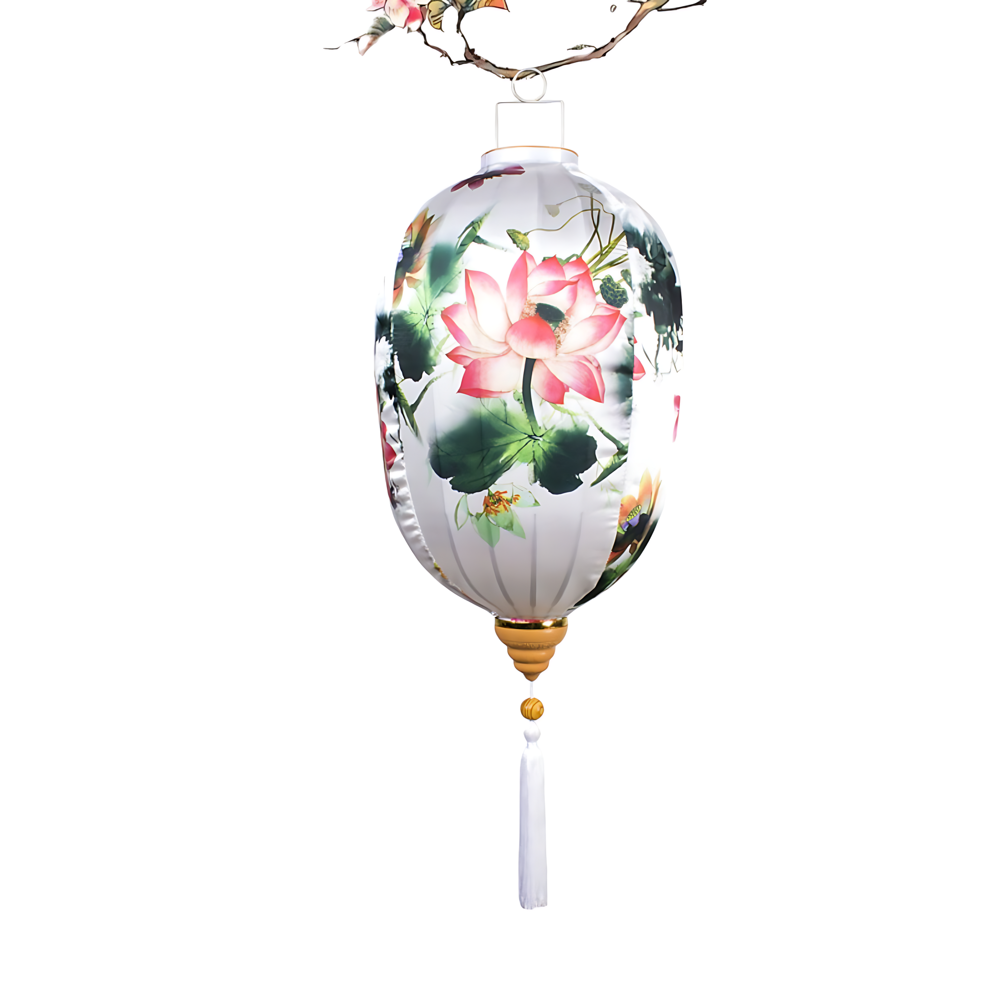 lanterne du japon plante - 1 / 36X28cm